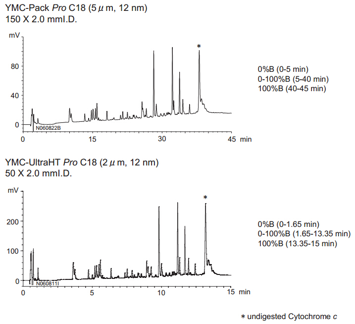 5d564c26e5de0.png 1.png