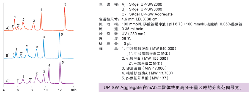 5f460945ce896.png 22.png